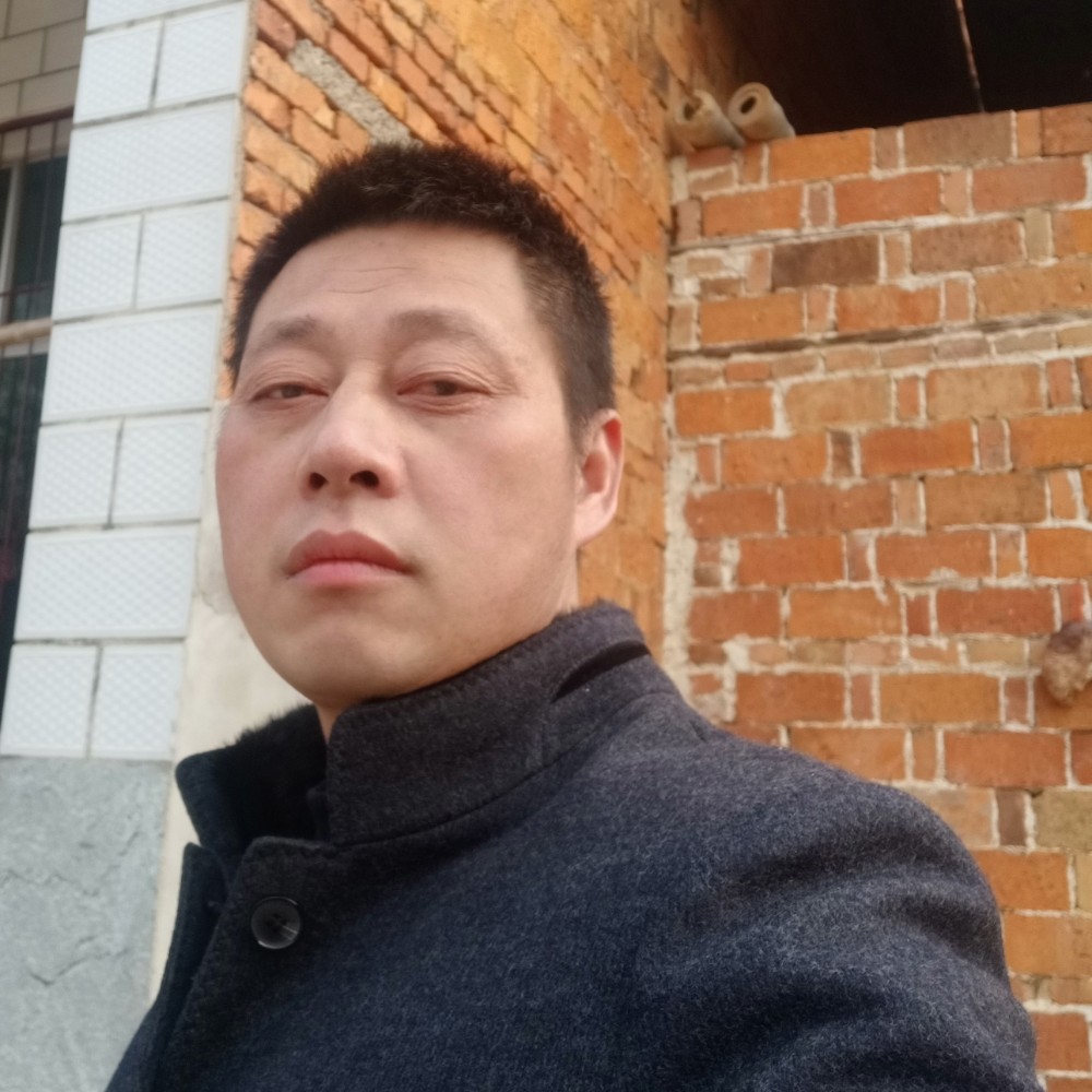 南海雄鹰的照片