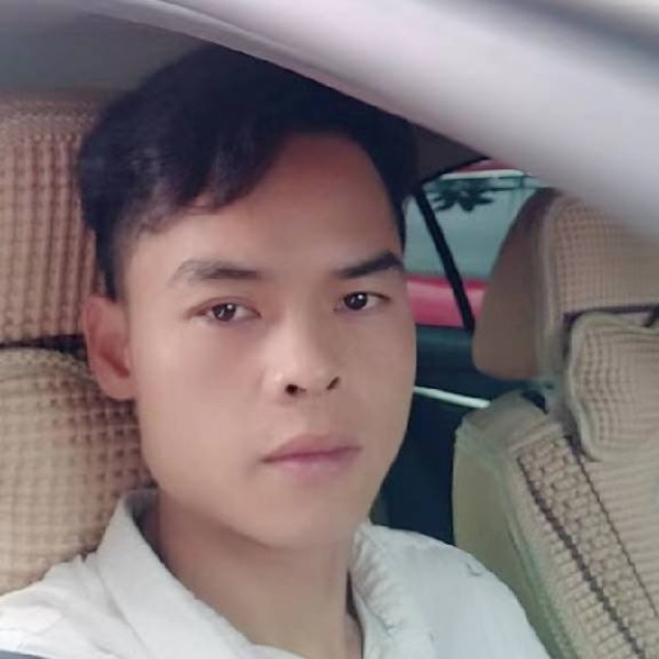 暴躁漫步花瓣的照片
