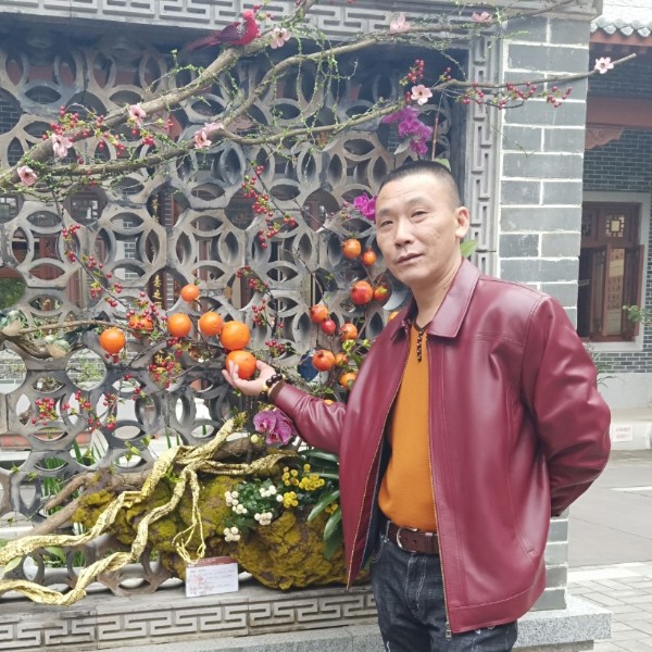 老淡的照片