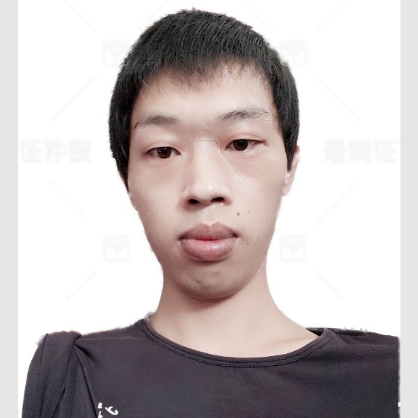 霸气打大雁的照片
