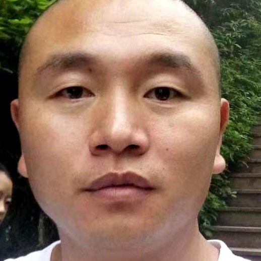 炙热的鸵鸟的照片