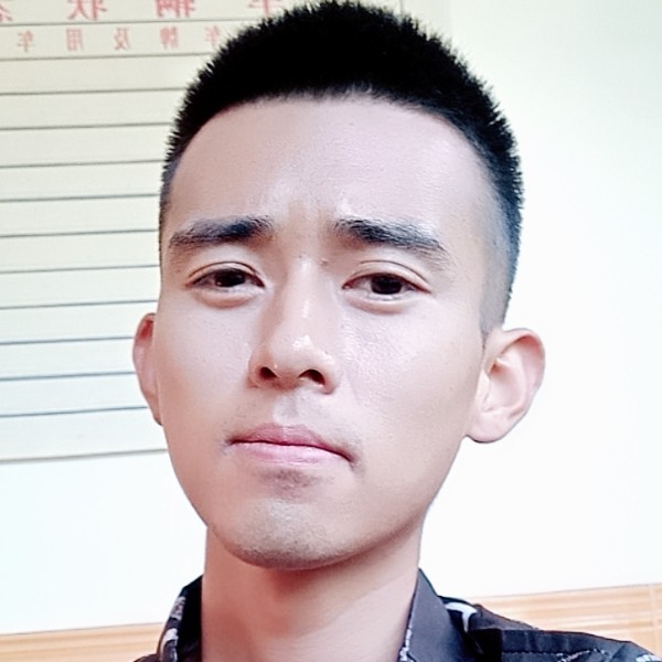 老实的汽车的照片
