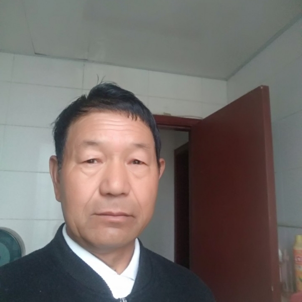 文静苦恋树叶的照片
