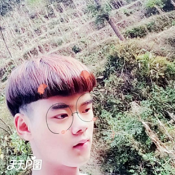 小甜瓜向虚心的照片