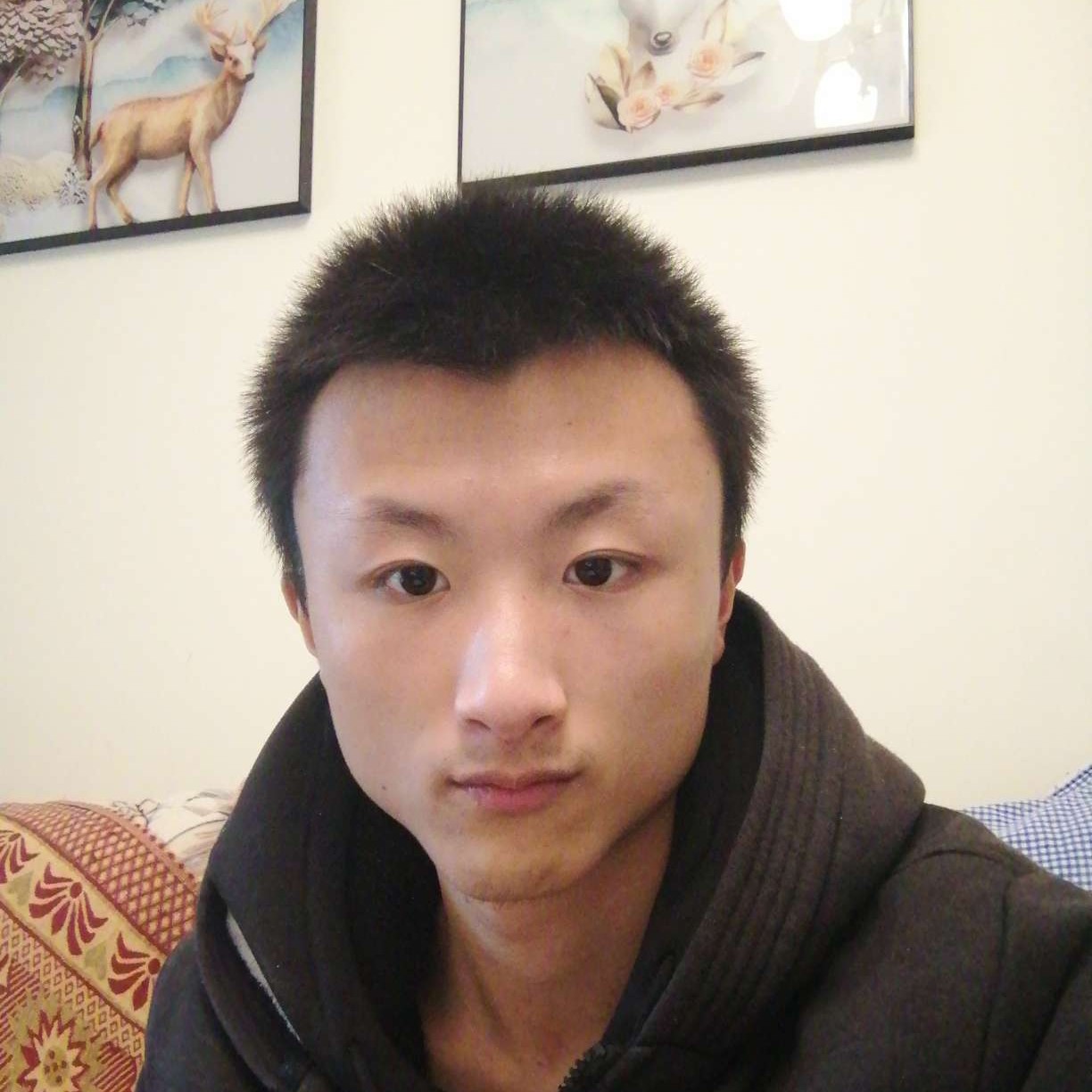 爱吃肉的狼的照片