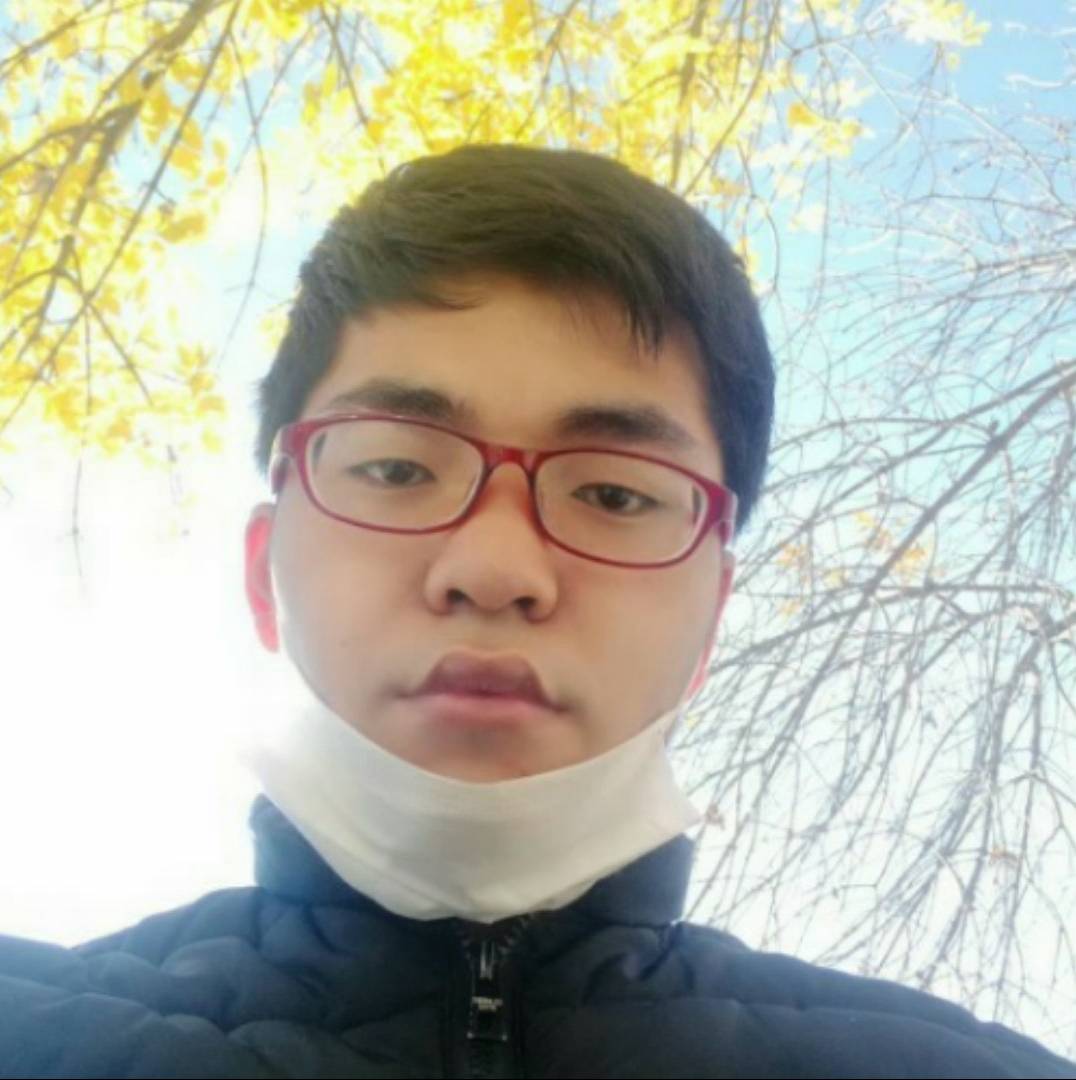 勤奋停止心情的照片