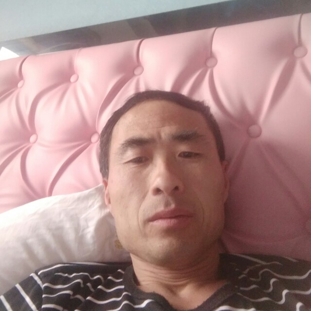 感性有蛋挞的照片