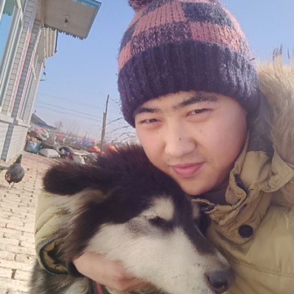 合适龙猫的照片