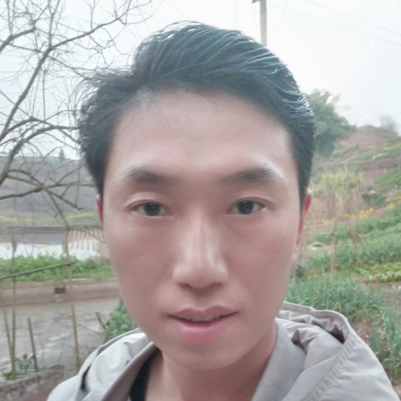 奇异果爱恋灼热的照片
