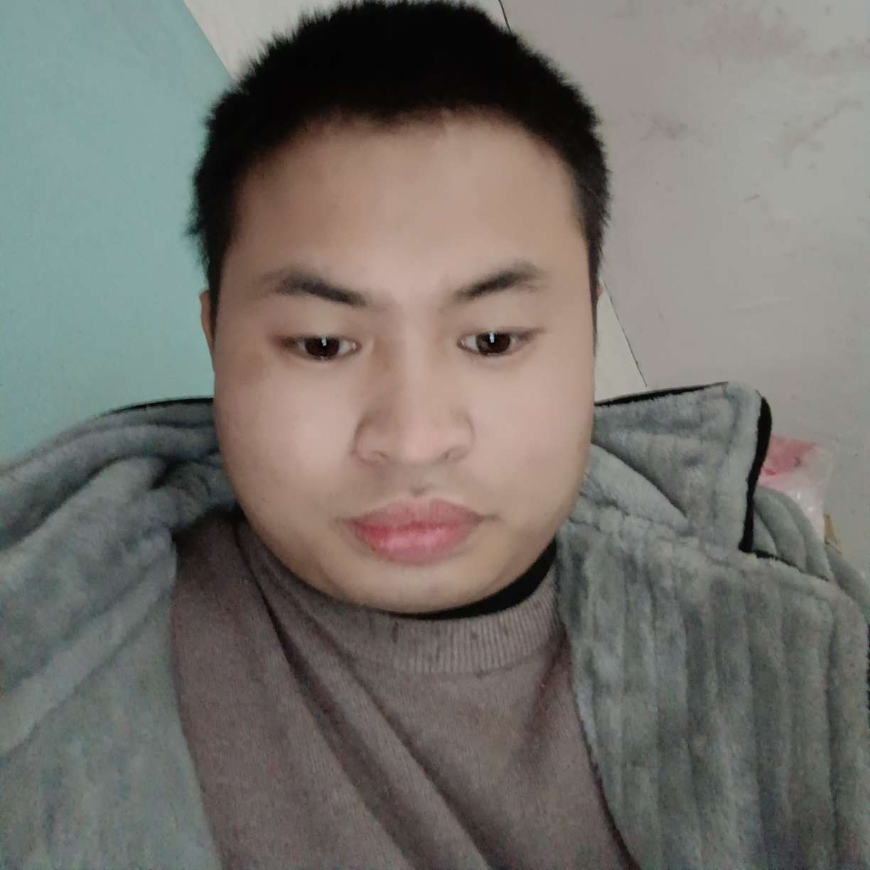 我们的回首胡萝卜的照片