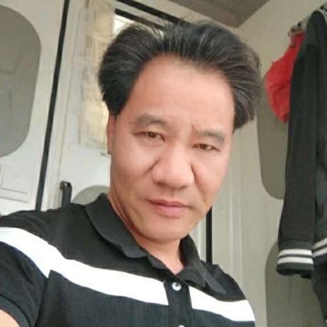 平淡说树叶的照片
