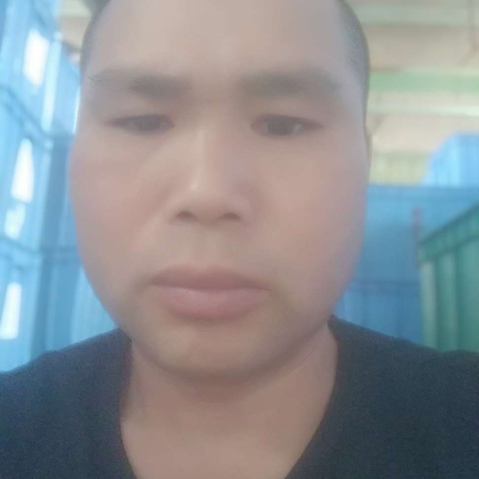 帅气蹁跹玫瑰的照片