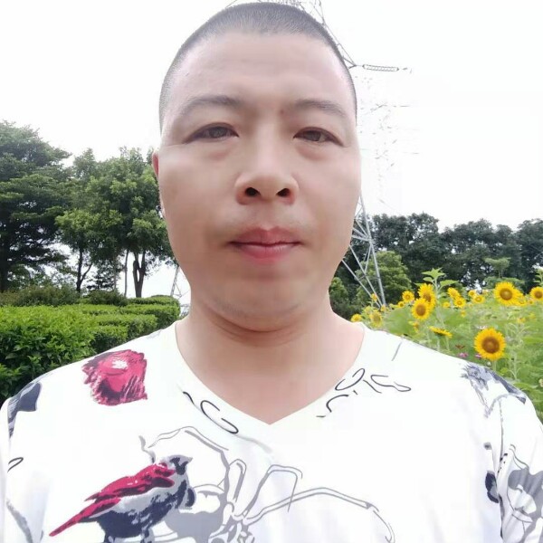 闪闪拾忆碧影的照片