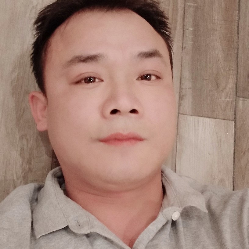 典雅飞鸟的照片