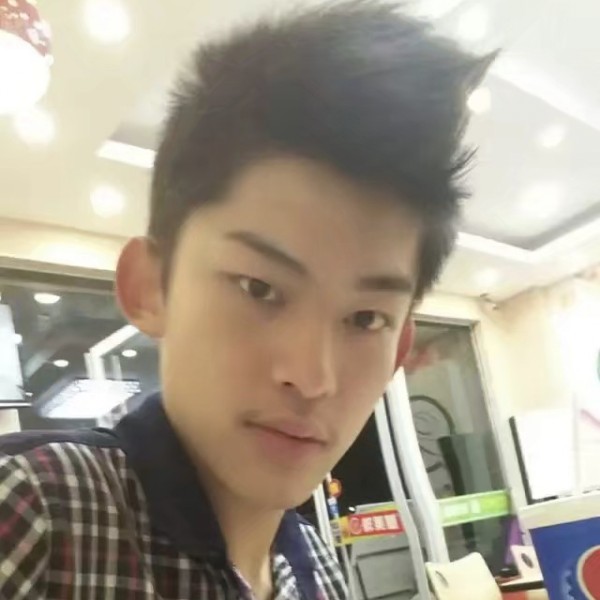 可靠倾心大象的照片