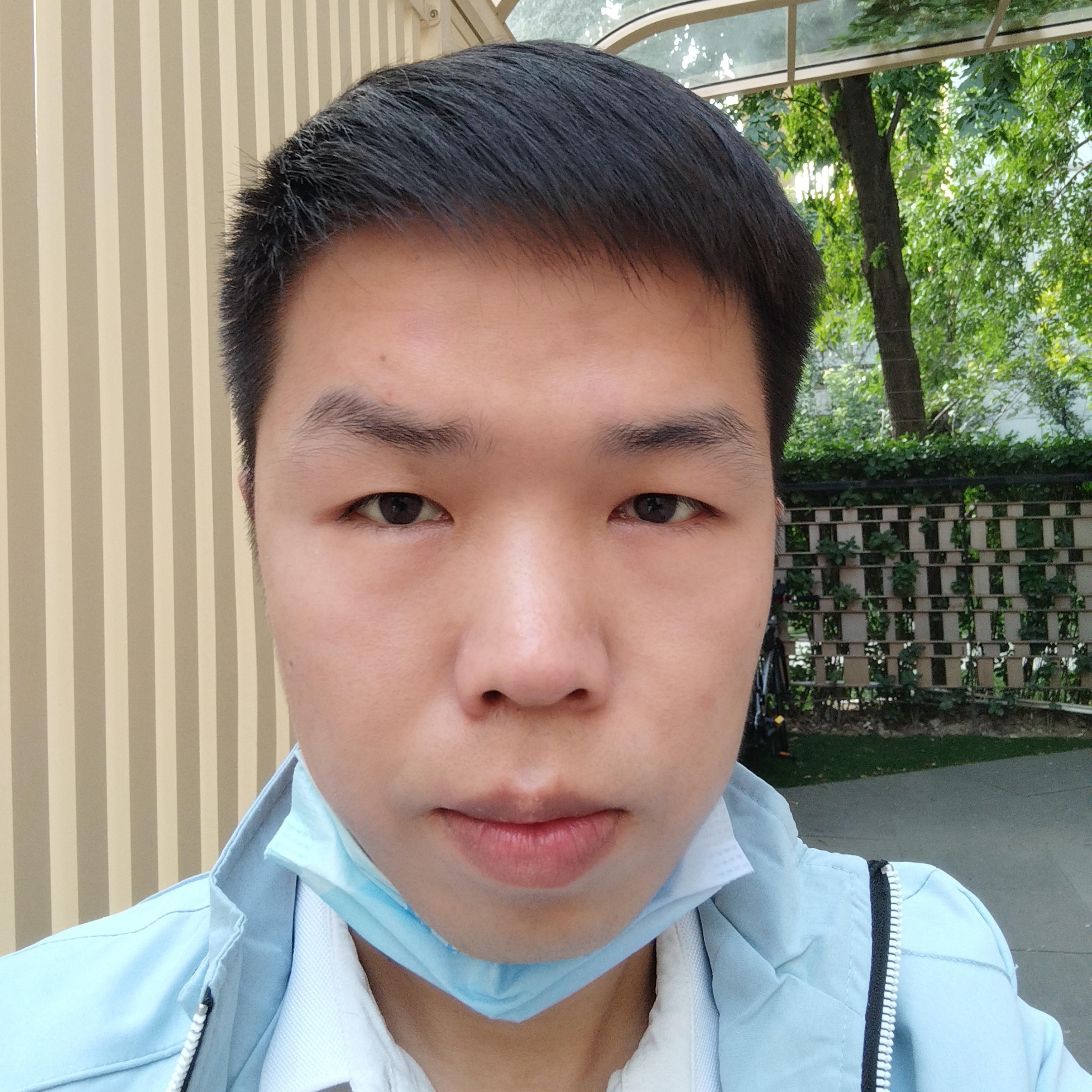 0叶子0的照片
