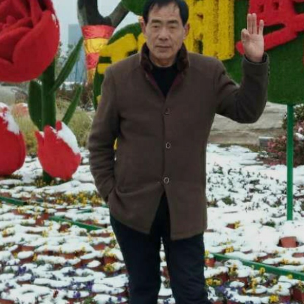 2545310的照片