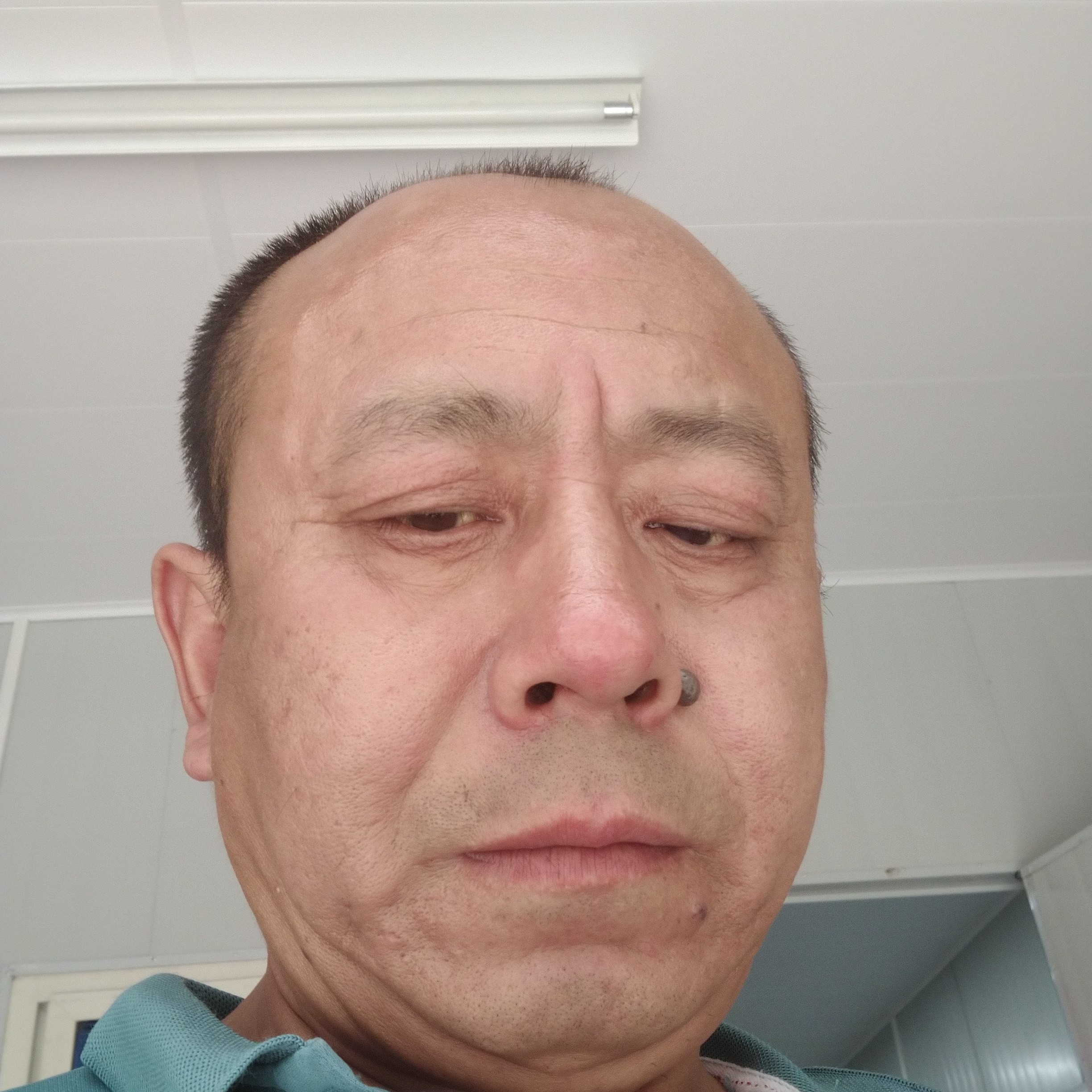 棉花糖放弃高高的照片