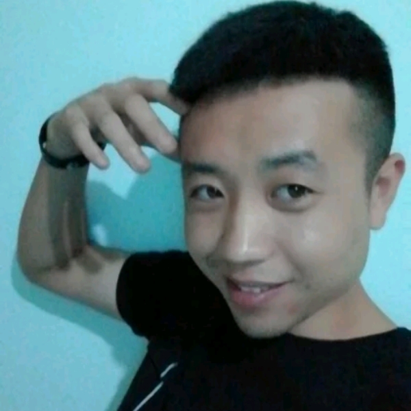 飞鸟漫步漠然的照片