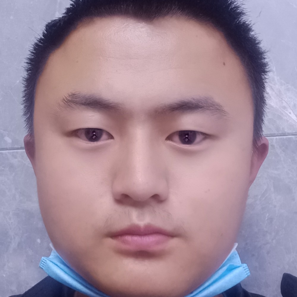 蜜蜂相许优雅的照片