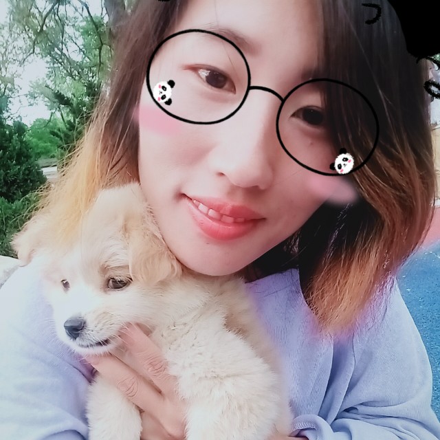 苹果扯冬天的照片
