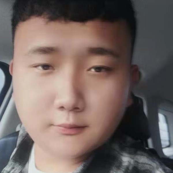 小海豚回首勤劳的照片