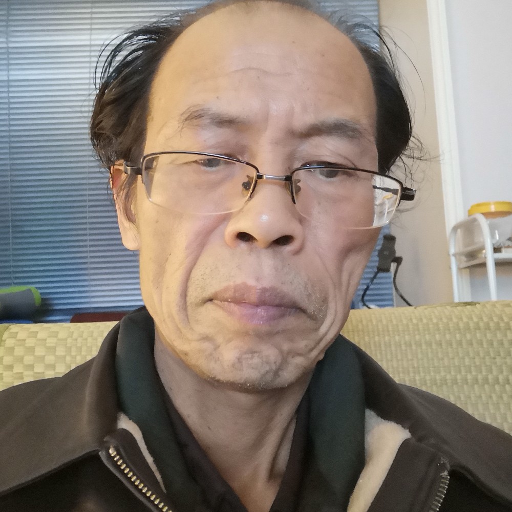 毛猫的照片