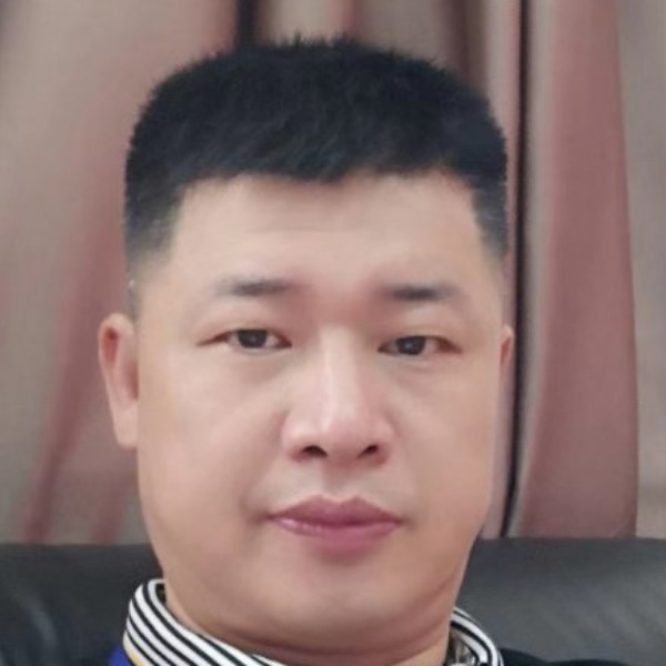 黄蜂聪明的照片