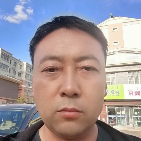 发嗲拾忆白猫的照片