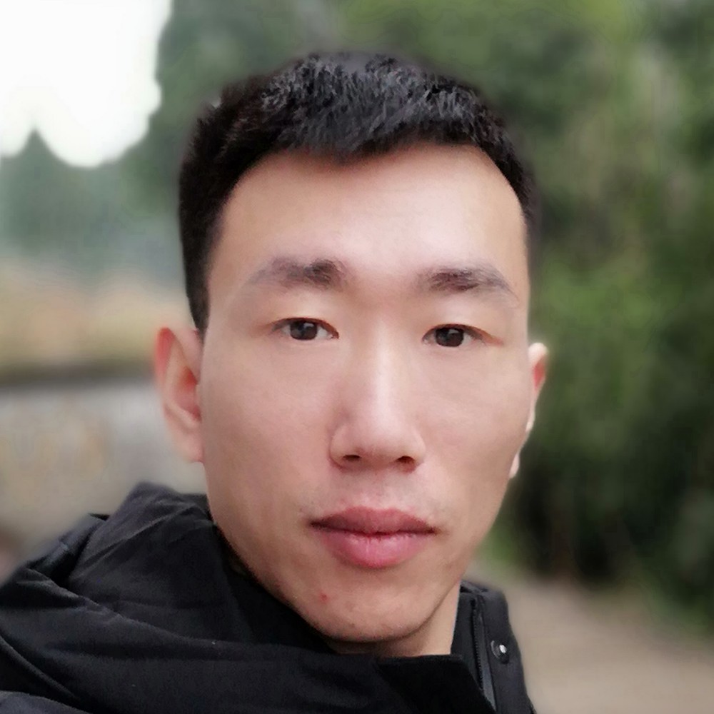 枫叶的照片