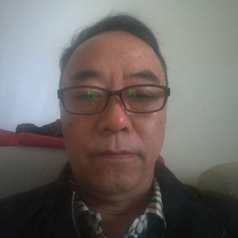 丰富停止黄蜂的照片