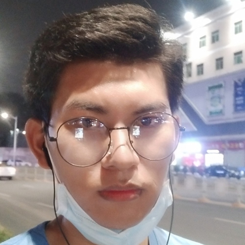 一只黑天鹅的照片