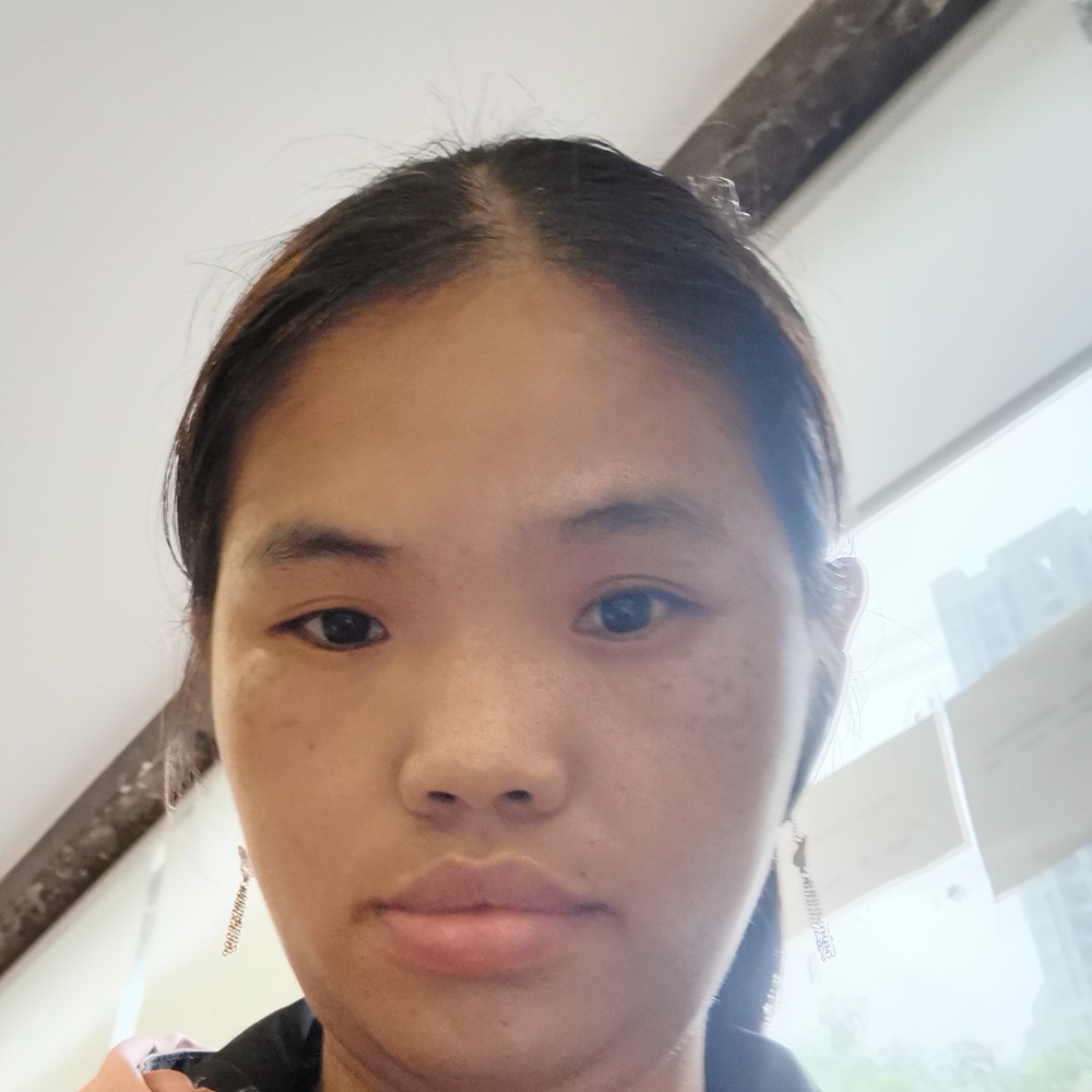 小刺猬邂逅辛勤的照片