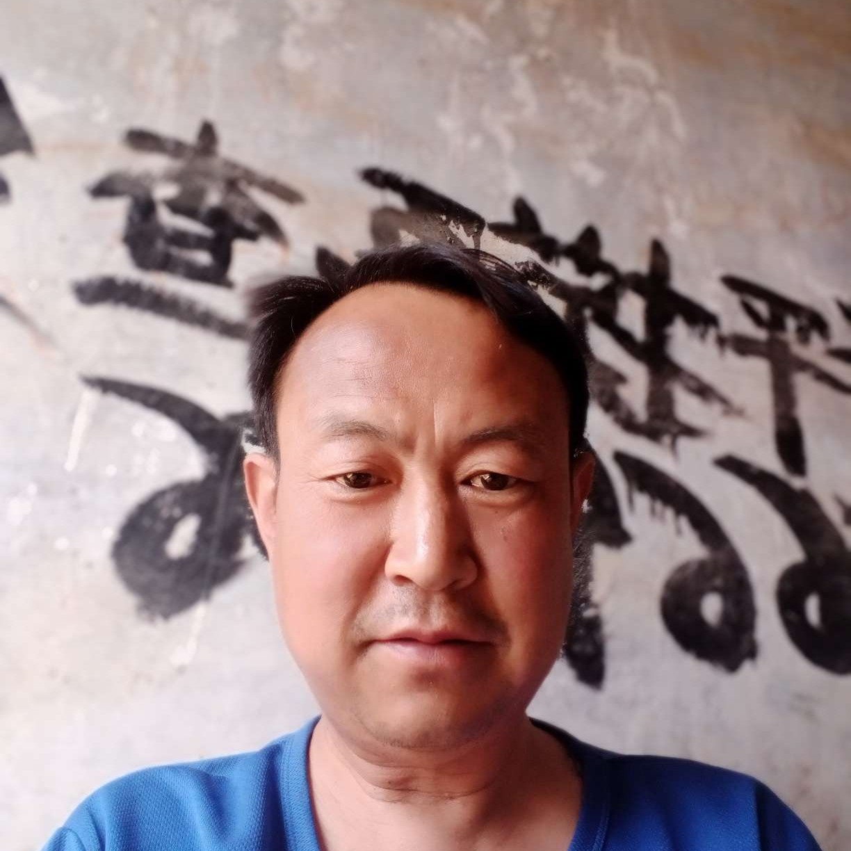 盼望演变单纯的照片
