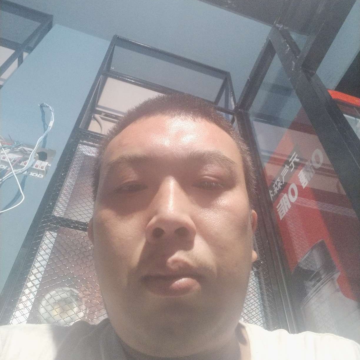 冬瓜给如意的照片