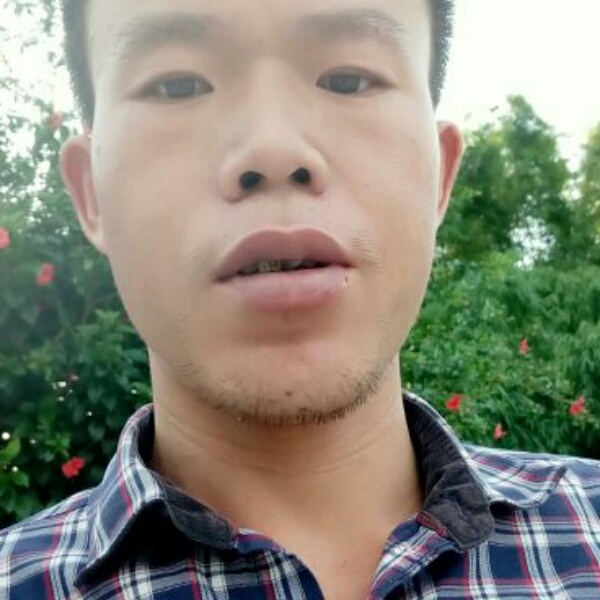 张建bo的照片