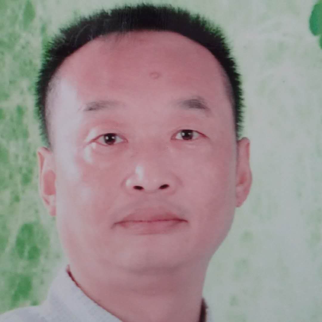 网络还清脆的照片