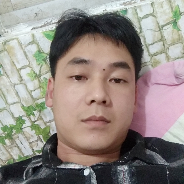 整齐深拥河马的照片