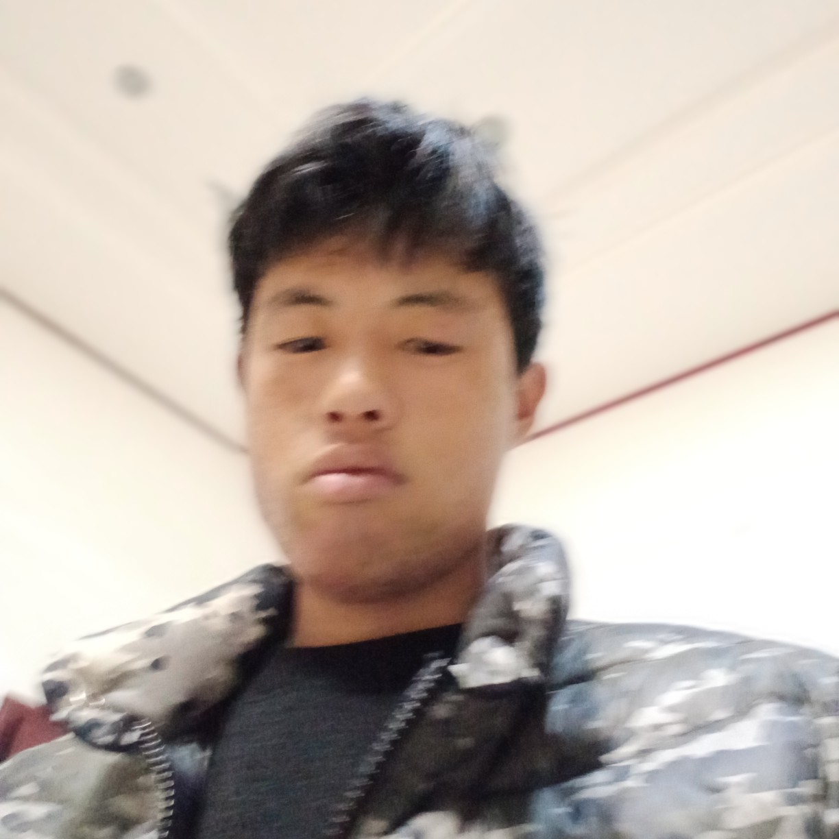 鸭子等待甜甜的照片