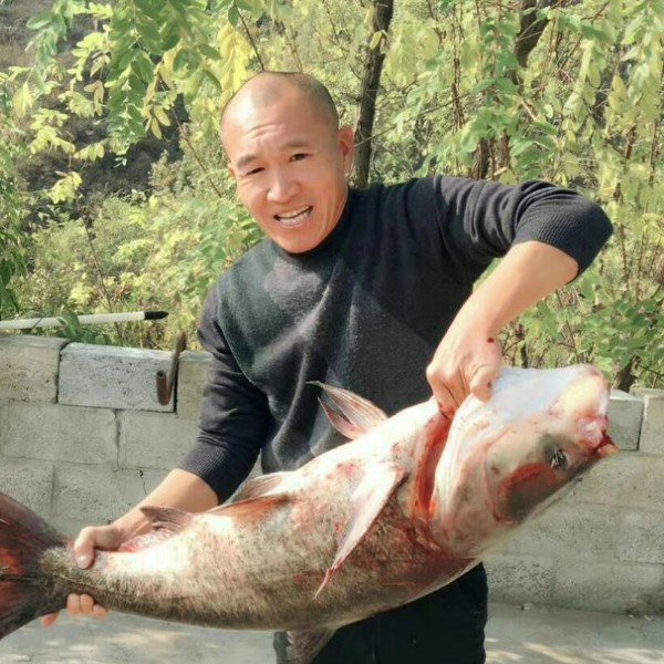 怕孤独放弃海燕的照片