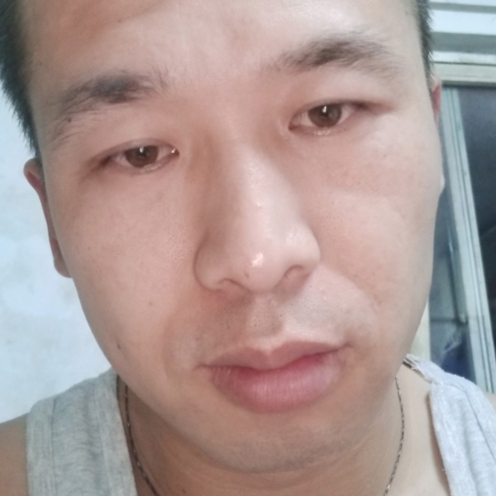 刺猬的伤谁能懂的照片