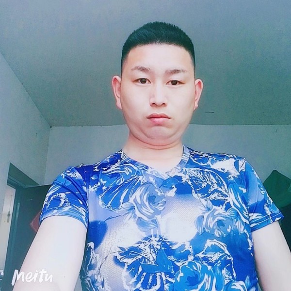会撒娇苦恋小鸽子的照片