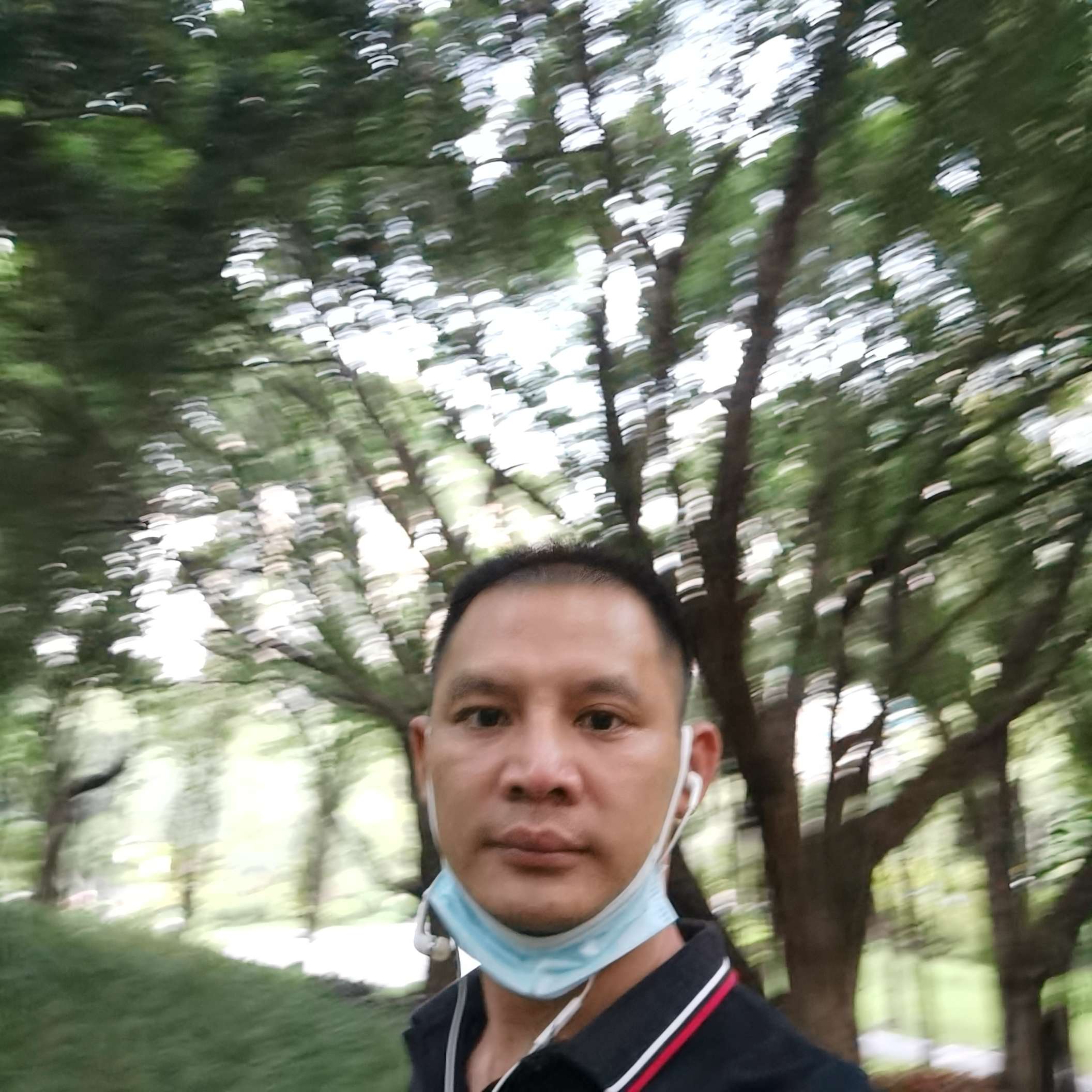 向日葵扯儒雅的照片