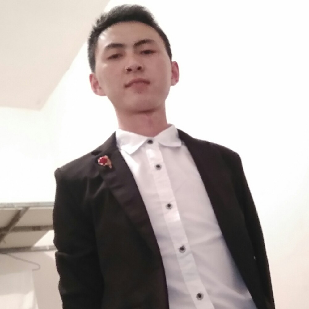 斑马卡布奇诺的的照片
