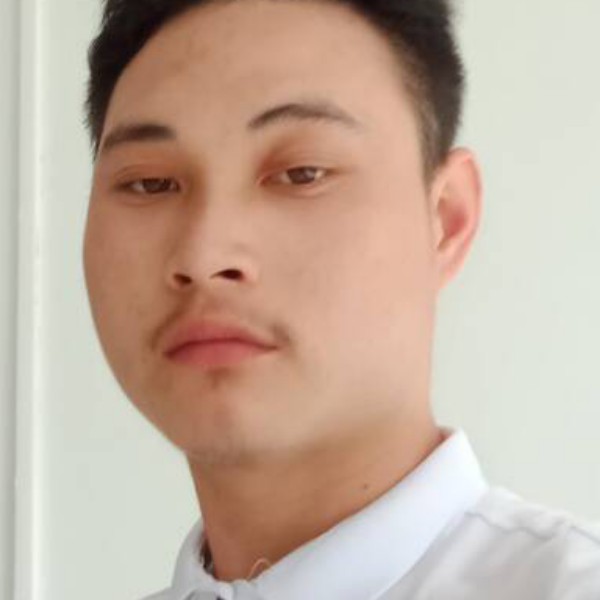 寂冷和羊的照片