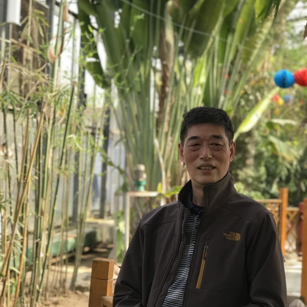 微凉与清秀的照片