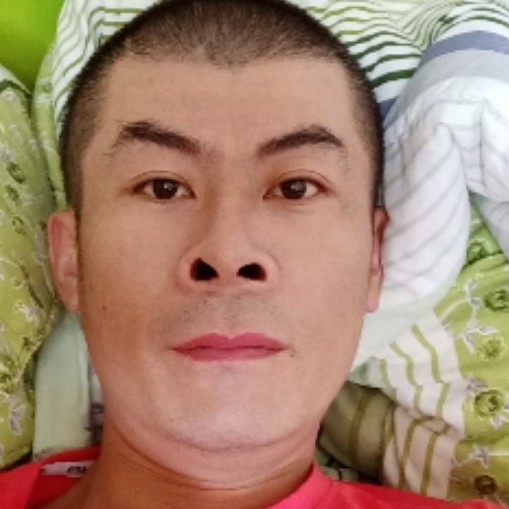 小蘑菇自由的照片