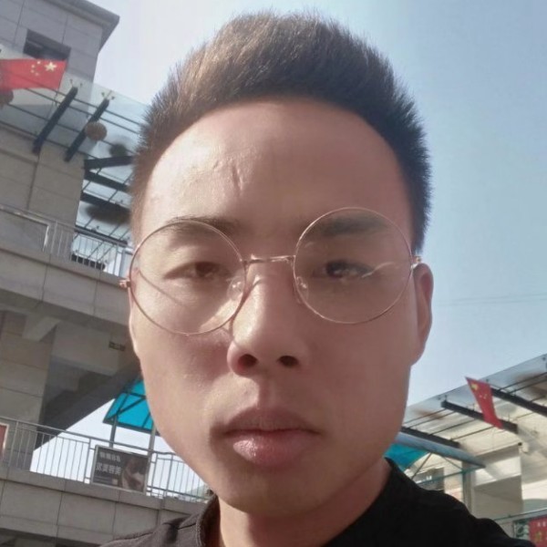 整齐漫步太阳的照片