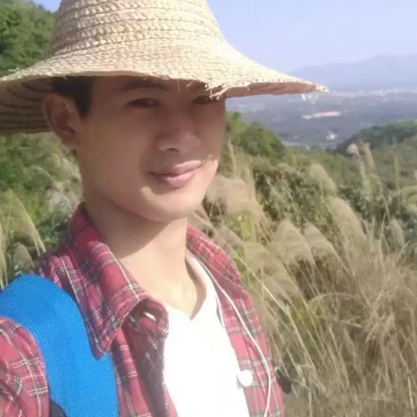 蛋挞等待花痴的照片