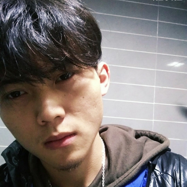 枫叶随风落的照片